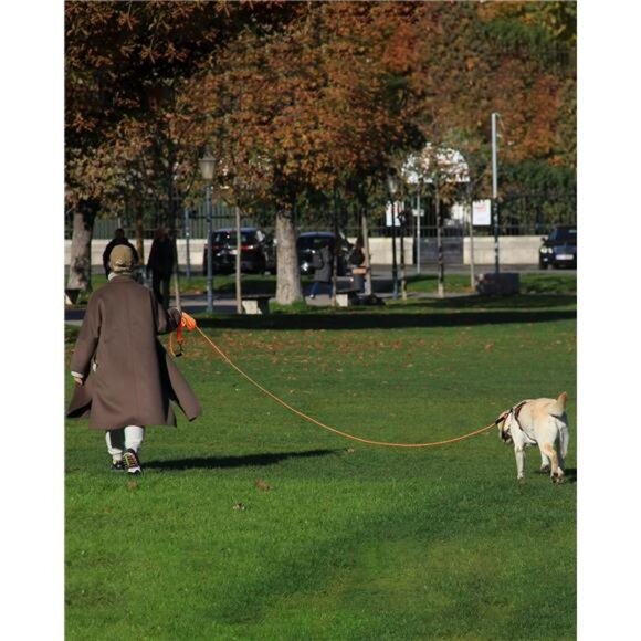 Dog Tie Out, Long Dog Leash 15FT 30FT 50FT 66FT, Recall Training Leash - Picture 6 of 7